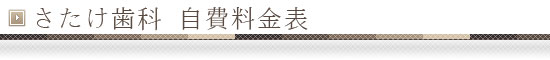 さたけ歯科　自費料金表